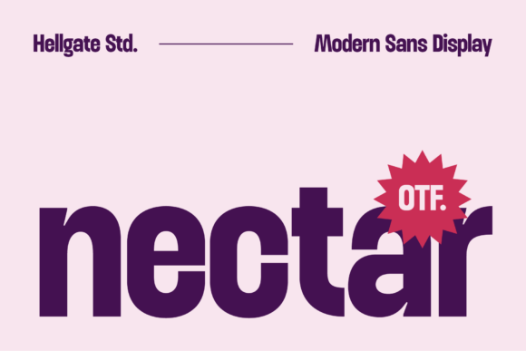 Elevate Your Brand Voice with Nectar Modern Sans